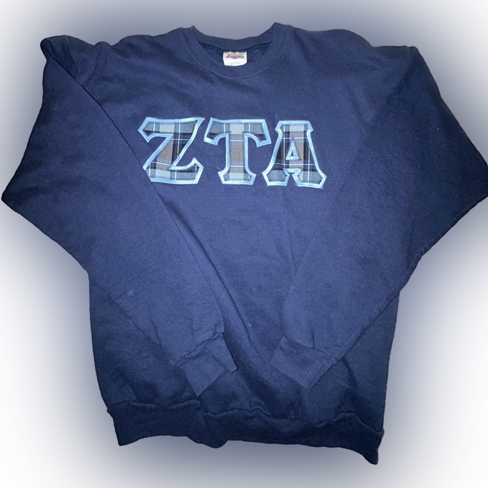 ZTA Zeta sweater crewneck (medium)